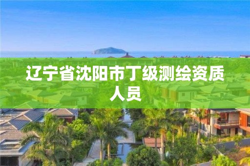 遼寧省沈陽市丁級測繪資質(zhì)人員