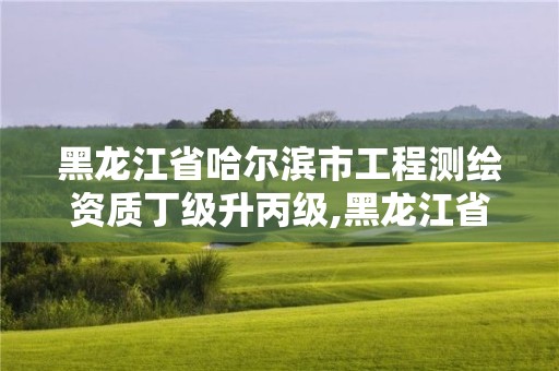 黑龍江省哈爾濱市工程測繪資質丁級升丙級,黑龍江省測繪資質延期通知。