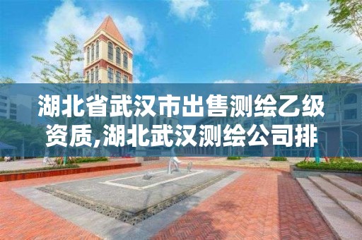 湖北省武漢市出售測繪乙級資質,湖北武漢測繪公司排行榜