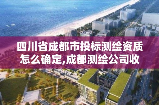 四川省成都市投標測繪資質怎么確定,成都測繪公司收費標準