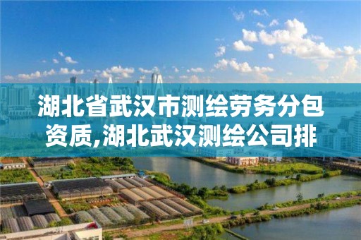 湖北省武漢市測繪勞務分包資質,湖北武漢測繪公司排行榜