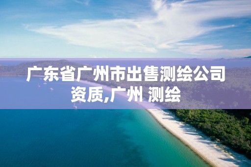 廣東省廣州市出售測繪公司資質,廣州 測繪