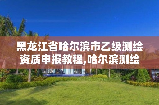 黑龍江省哈爾濱市乙級測繪資質申報教程,哈爾濱測繪有限公司