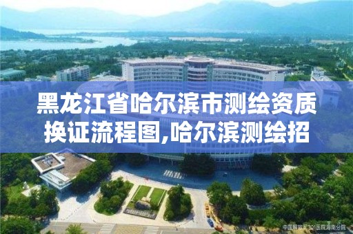 黑龍江省哈爾濱市測繪資質換證流程圖,哈爾濱測繪招聘信息