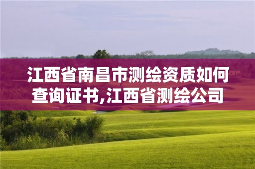 江西省南昌市測繪資質如何查詢證書,江西省測繪公司