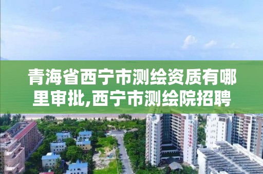 青海省西寧市測繪資質(zhì)有哪里審批,西寧市測繪院招聘公示