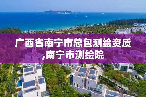 廣西省南寧市總包測繪資質,南寧市測繪院