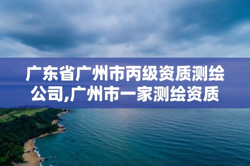 廣東省廣州市丙級資質測繪公司,廣州市一家測繪資質單位