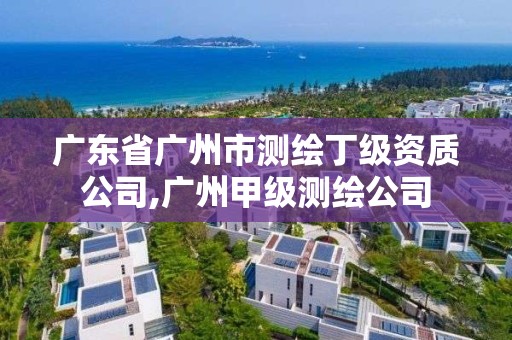 廣東省廣州市測繪丁級資質公司,廣州甲級測繪公司