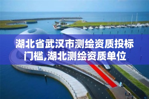 湖北省武漢市測繪資質投標門檻,湖北測繪資質單位