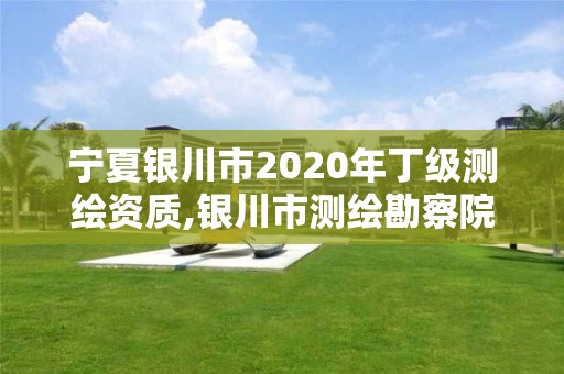 寧夏銀川市2020年丁級測繪資質,銀川市測繪勘察院