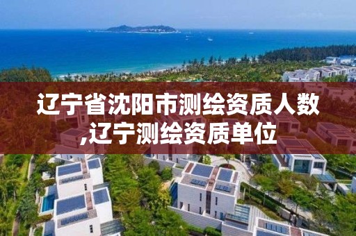 遼寧省沈陽市測繪資質人數(shù),遼寧測繪資質單位