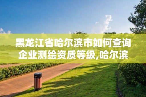 黑龍江省哈爾濱市如何查詢企業(yè)測(cè)繪資質(zhì)等級(jí),哈爾濱測(cè)繪地理信息局。