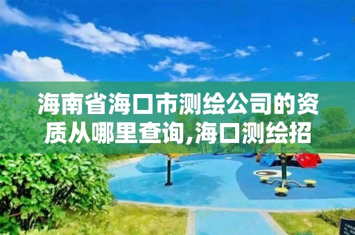 海南省?？谑袦y繪公司的資質從哪里查詢,?？跍y繪招聘。