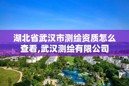 湖北省武漢市測繪資質怎么查看,武漢測繪有限公司