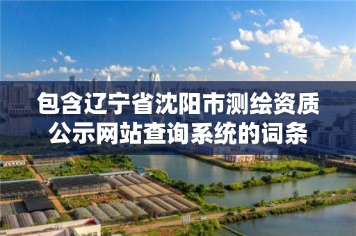 包含遼寧省沈陽市測繪資質公示網站查詢系統的詞條