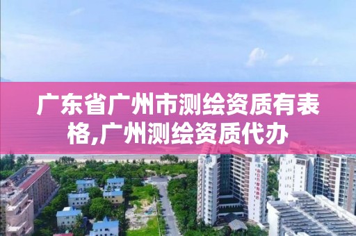 廣東省廣州市測繪資質有表格,廣州測繪資質代辦