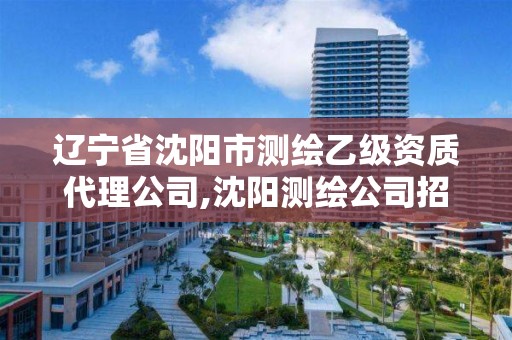 遼寧省沈陽市測繪乙級資質代理公司,沈陽測繪公司招聘