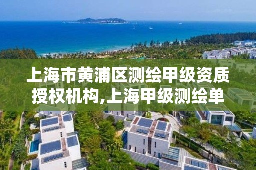 上海市黃浦區測繪甲級資質授權機構,上海甲級測繪單位