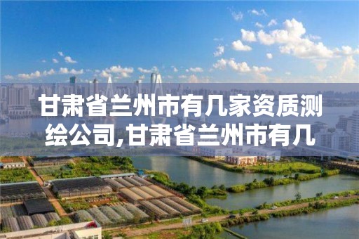 甘肅省蘭州市有幾家資質測繪公司,甘肅省蘭州市有幾家資質測繪公司啊。