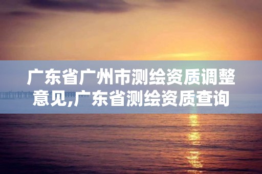 廣東省廣州市測繪資質調整意見,廣東省測繪資質查詢