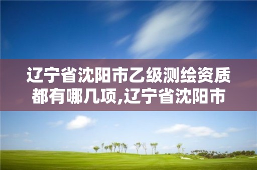 遼寧省沈陽市乙級測繪資質都有哪幾項,遼寧省沈陽市乙級測繪資質都有哪幾項證書