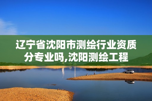 遼寧省沈陽市測繪行業資質分專業嗎,沈陽測繪工程