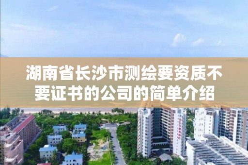 湖南省長沙市測繪要資質(zhì)不要證書的公司的簡單介紹