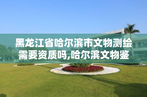 黑龍江省哈爾濱市文物測繪需要資質(zhì)嗎,哈爾濱文物鑒定中心電話號碼