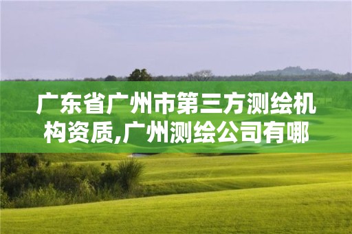 廣東省廣州市第三方測(cè)繪機(jī)構(gòu)資質(zhì),廣州測(cè)繪公司有哪些。