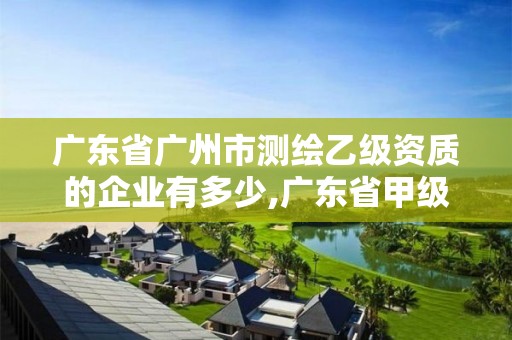 廣東省廣州市測繪乙級資質(zhì)的企業(yè)有多少,廣東省甲級測繪資質(zhì)單位有多少。