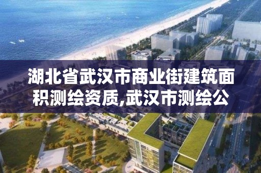 湖北省武漢市商業街建筑面積測繪資質,武漢市測繪公司。