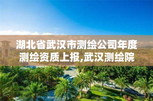 湖北省武漢市測繪公司年度測繪資質上報,武漢測繪院地址