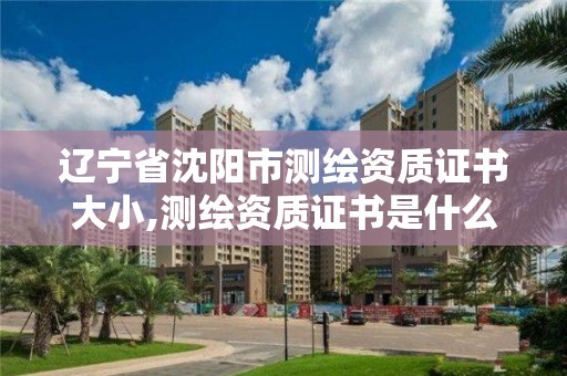 遼寧省沈陽市測繪資質證書大小,測繪資質證書是什么