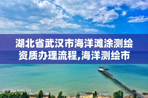 湖北省武漢市海洋灘涂測繪資質辦理流程,海洋測繪市場。