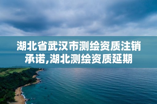 湖北省武漢市測繪資質注銷承諾,湖北測繪資質延期