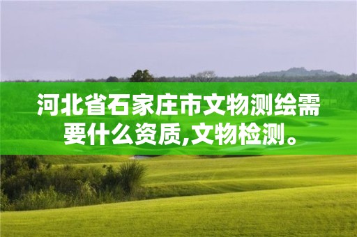 河北省石家莊市文物測繪需要什么資質,文物檢測。