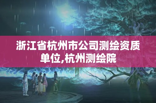 浙江省杭州市公司測繪資質(zhì)單位,杭州測繪院