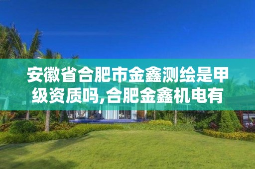 安徽省合肥市金鑫測繪是甲級資質嗎,合肥金鑫機電有限公司。