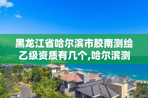 黑龍江省哈爾濱市膠南測繪乙級資質有幾個,哈爾濱測繪局招聘