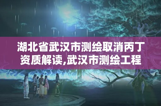 湖北省武漢市測繪取消丙丁資質解讀,武漢市測繪工程技術規定