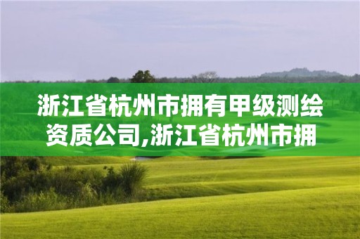 浙江省杭州市擁有甲級測繪資質(zhì)公司,浙江省杭州市擁有甲級測繪資質(zhì)公司有幾家