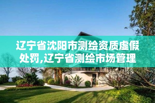 遼寧省沈陽市測繪資質虛假處罰,遼寧省測繪市場管理辦法