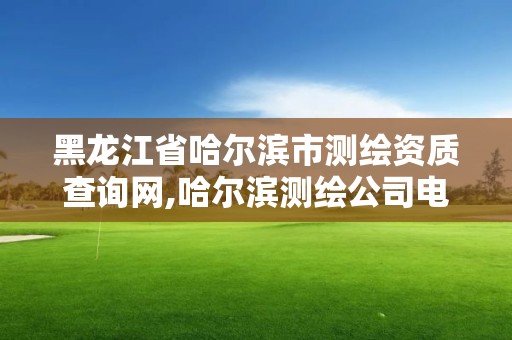 黑龍江省哈爾濱市測繪資質查詢網,哈爾濱測繪公司電話