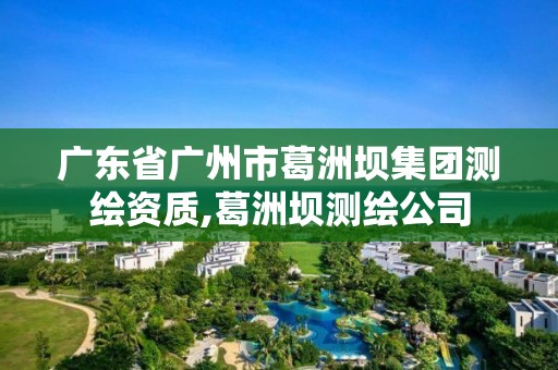 廣東省廣州市葛洲壩集團測繪資質,葛洲壩測繪公司