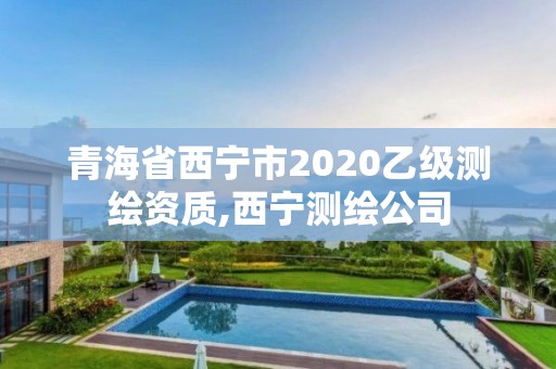 青海省西寧市2020乙級(jí)測(cè)繪資質(zhì),西寧測(cè)繪公司