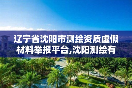 遼寧省沈陽市測繪資質虛假材料舉報平臺,沈陽測繪有限公司