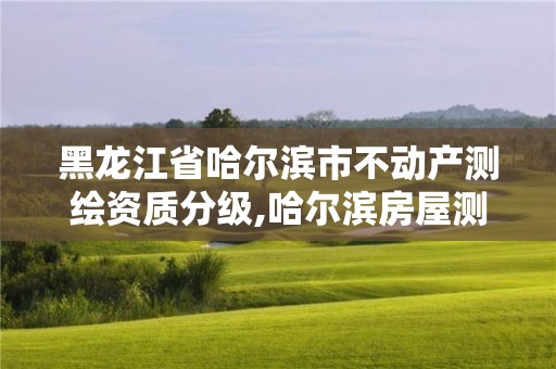 黑龍江省哈爾濱市不動(dòng)產(chǎn)測(cè)繪資質(zhì)分級(jí),哈爾濱房屋測(cè)繪