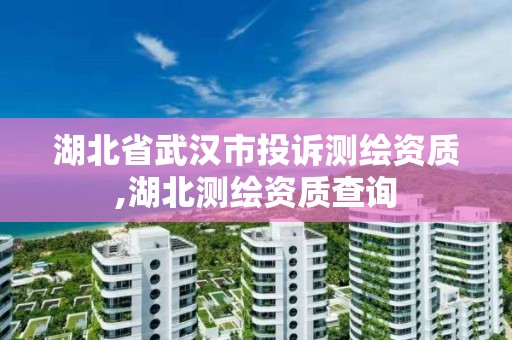 湖北省武漢市投訴測繪資質,湖北測繪資質查詢