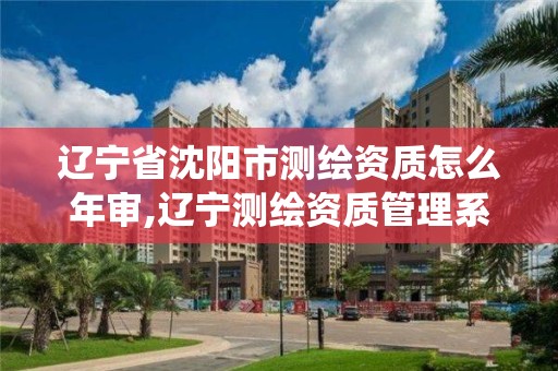 遼寧省沈陽市測繪資質怎么年審,遼寧測繪資質管理系統登錄